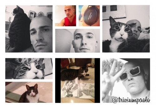 http://instagram.com/triviumpaolo