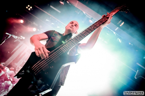 Hablando de bajo con Paolo Gregoletto